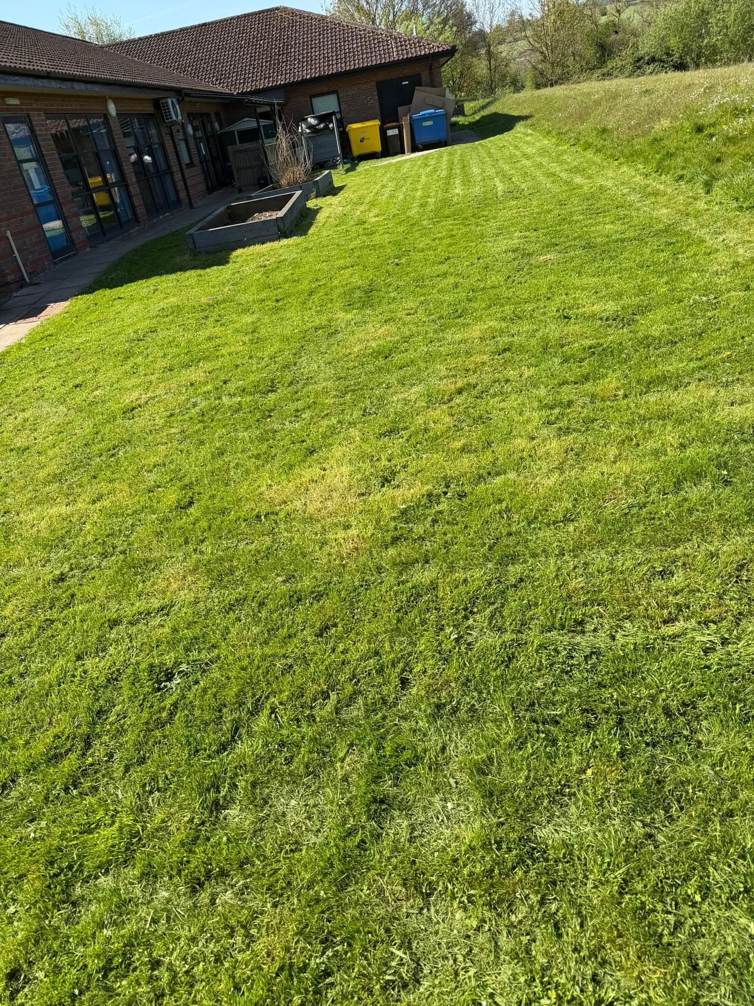 Freshly cut lawn by Allington's Indoor and Outdoor Solutions